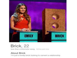 large_Brick_Tinder