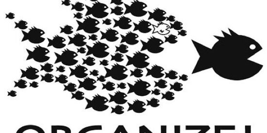 collective-action-550×280