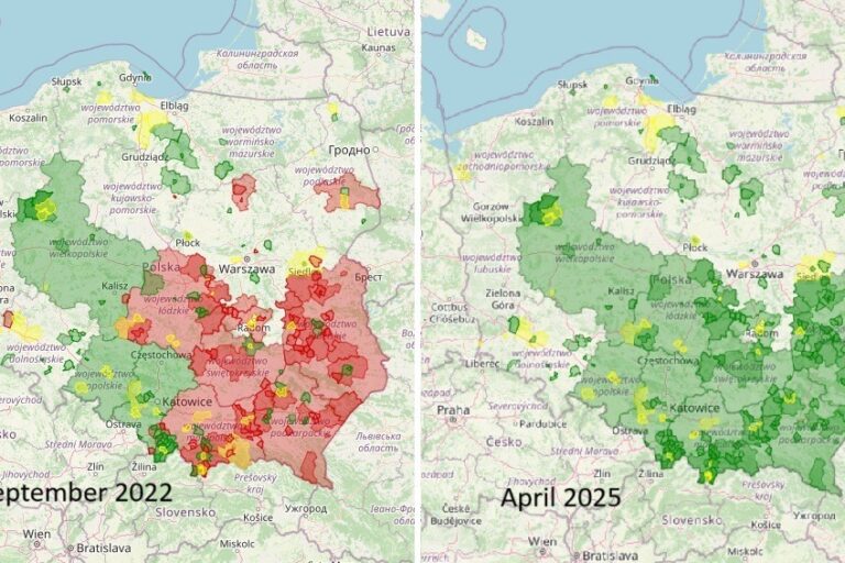 309309668_469554835222154_4917666469162792896_na-2